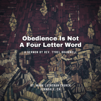 Obedience. Not A Dirty Word