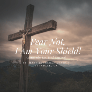 Fear Not! I Am Your Shield