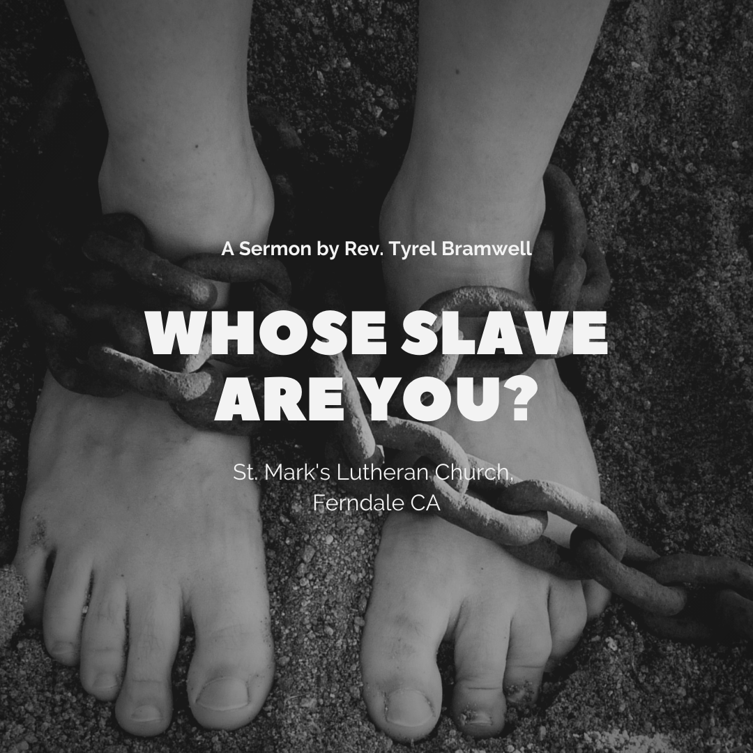Whose Slave Are you