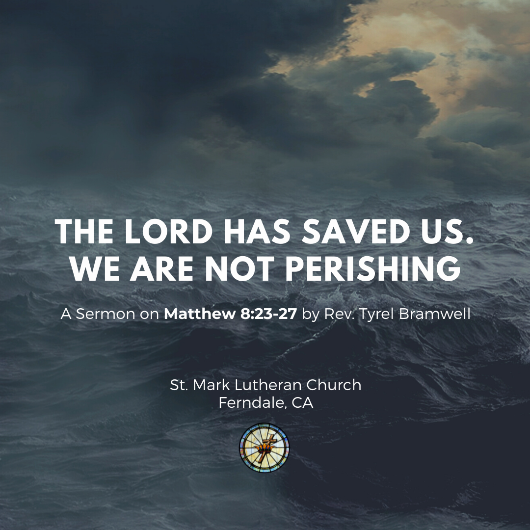 We are not perishing